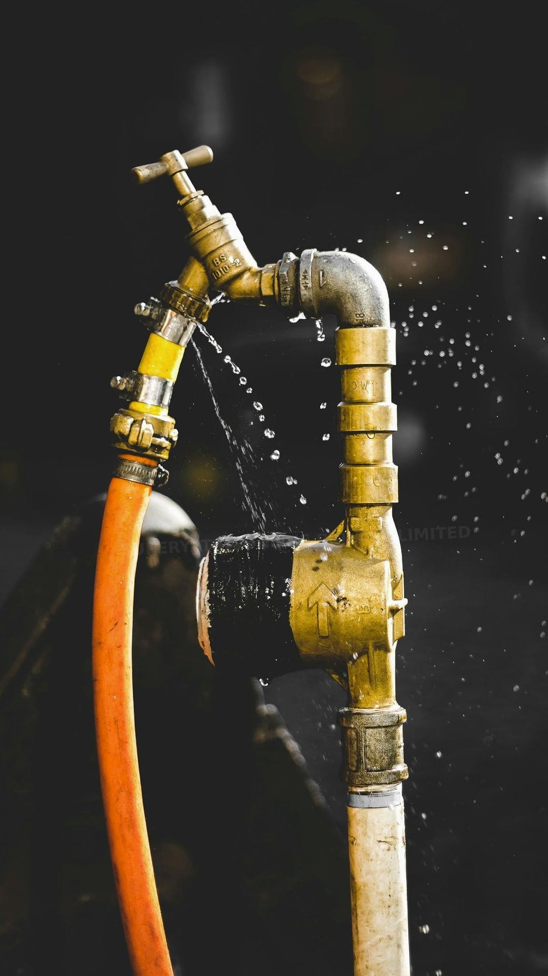 Wasser sparen im Haushalt: Effiziente Lösungen für Bad und Küche